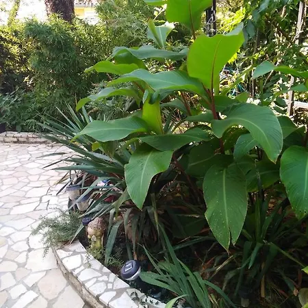 아파트 Studio 드라말리