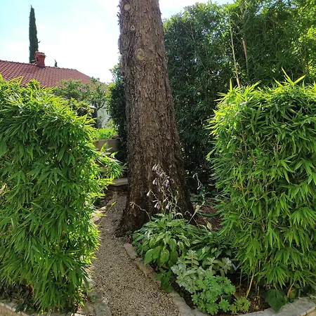 Studio Appartamento *